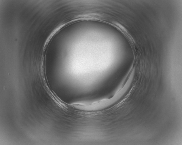 X0000052991196200507221212