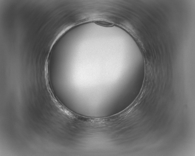 X0000052991198200507221212