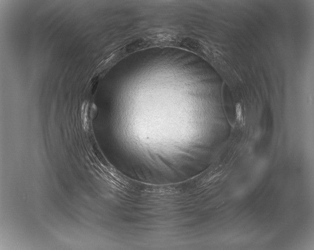 X0000052991203200507221211