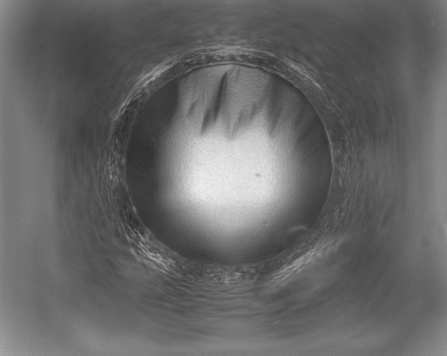 X0000052991207200507221212