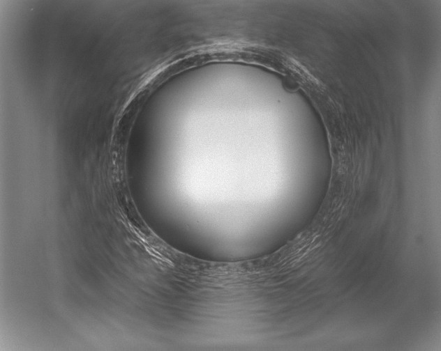 X0000052991208200507221212
