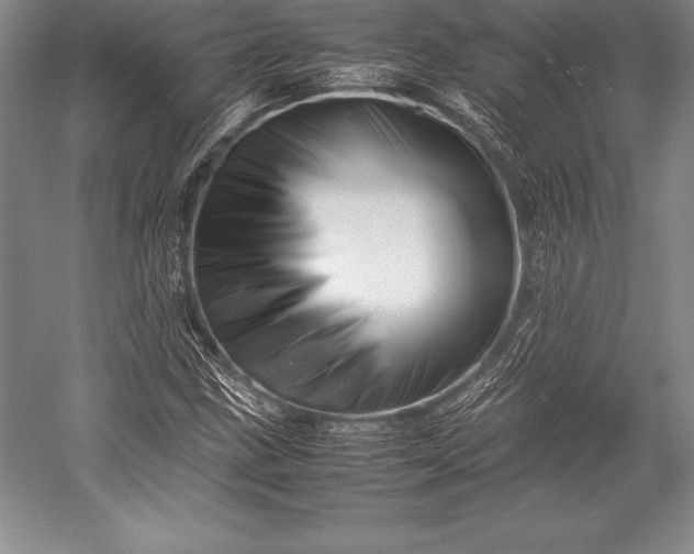 X0000052991211200507221212