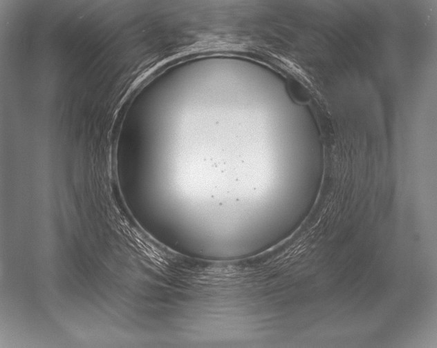X0000052991220200507221212