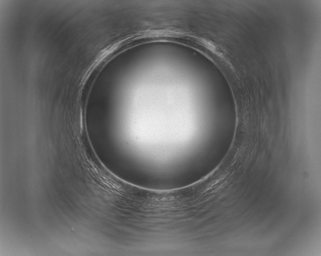 X0000052991221200507221212