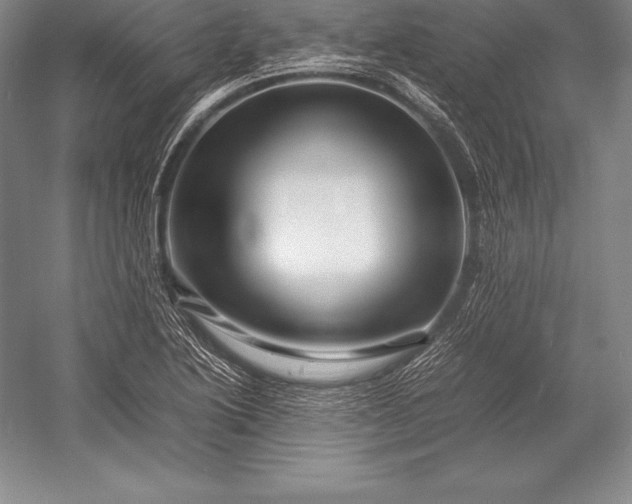 X0000052991222200507221212