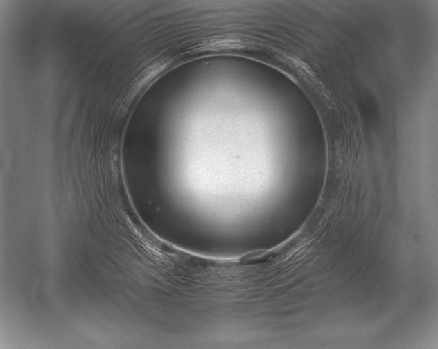 X0000052991225200507221212