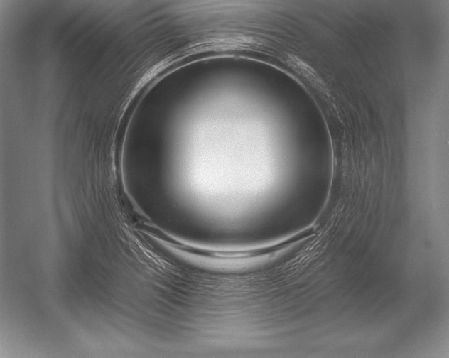 X0000052991226200507221212