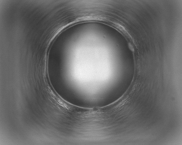 X0000052991228200507221212