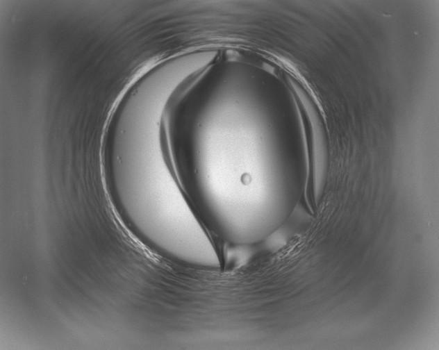 X0000052991235200507221212