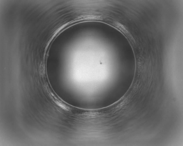 X0000052991236200507221212