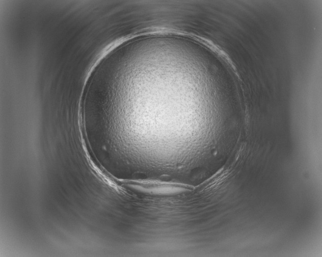 X0000052991239200507221212