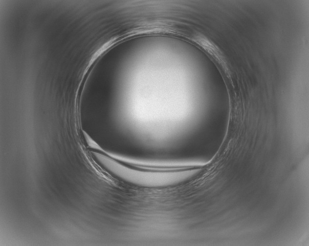 X0000052991242200507221212