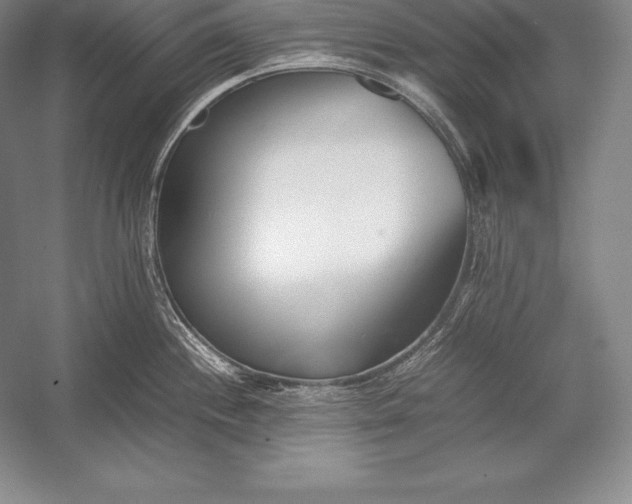 X0000052991244200507221212