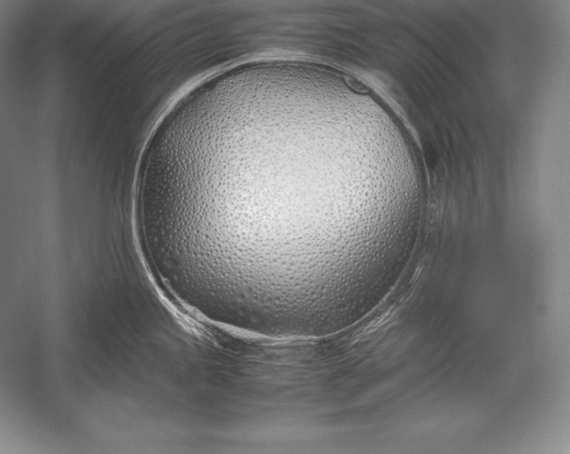 X0000052991245200507221212
