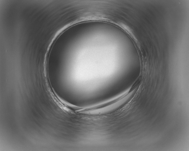 X0000052991246200507221212