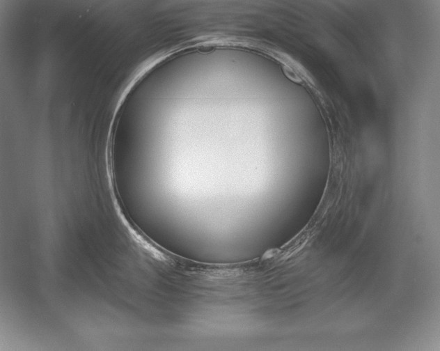X0000052991247200507221212