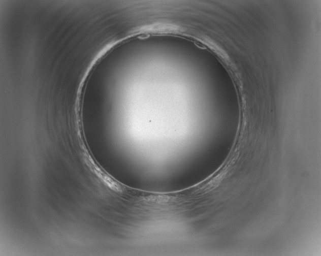 X0000052991248200507221212