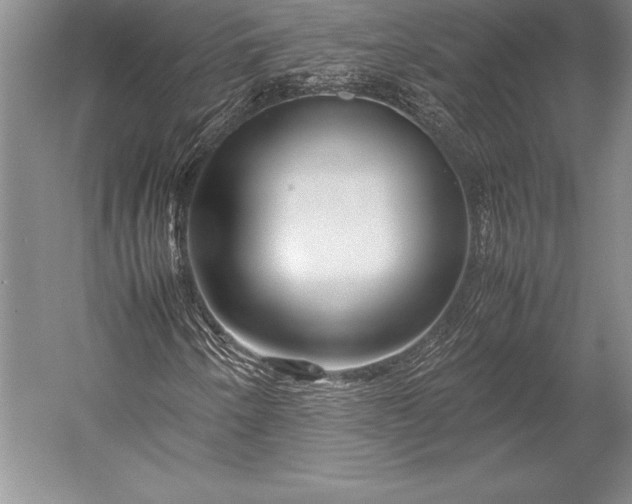 X0000052991250200507221211