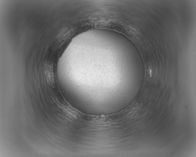 X0000052991252200507221211