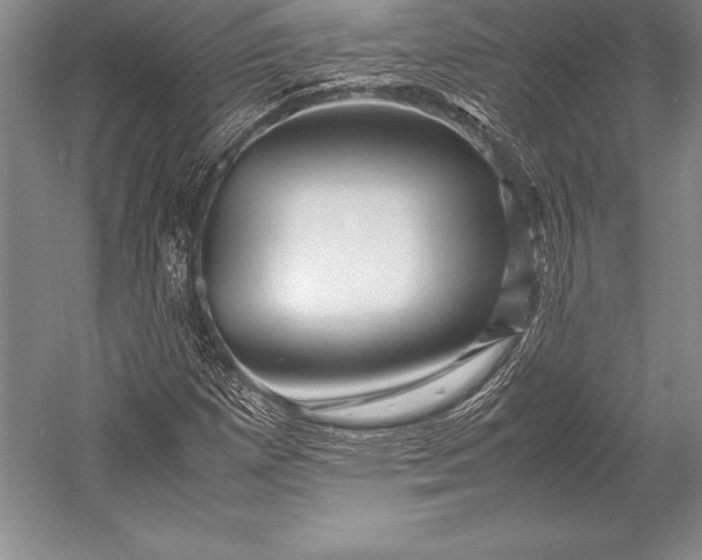 X0000052991257200507221211