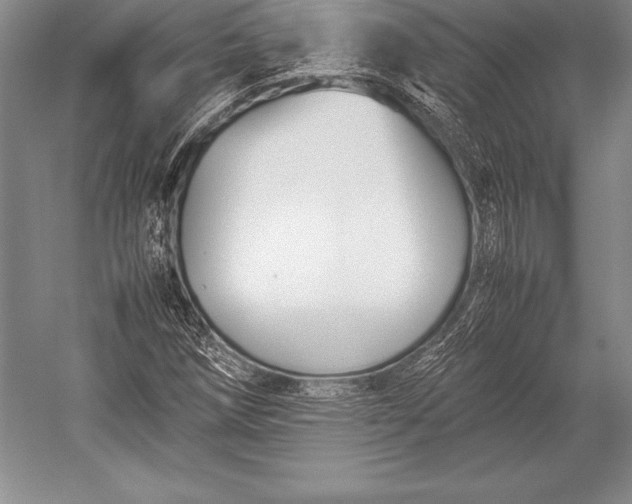 X0000052991258200507221211