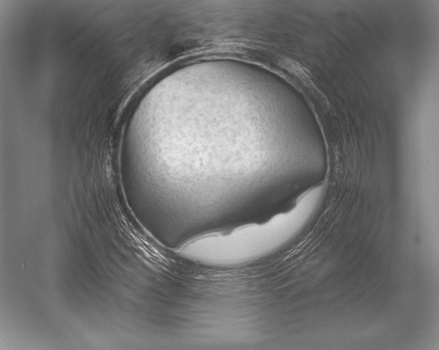 X0000052991260200507221211