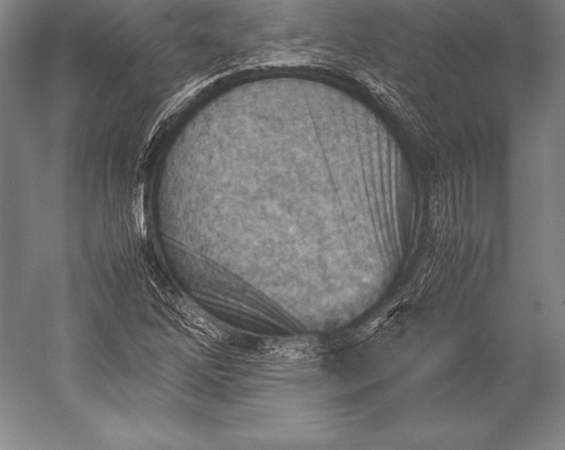 X0000052991262200507221211