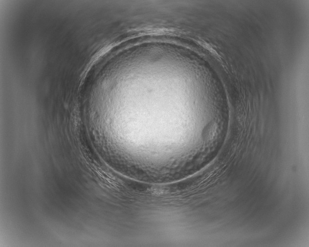 X0000052991263200507221211