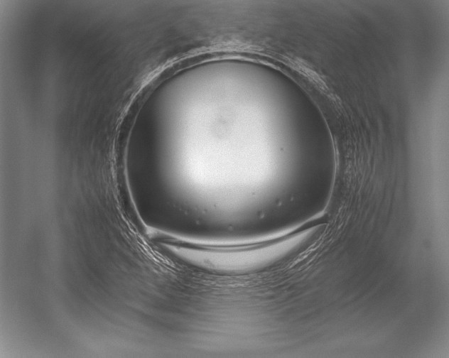 X0000052991264200507221211
