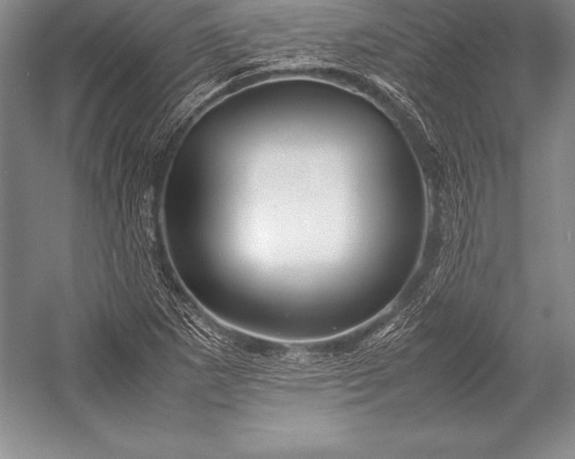 X0000052991265200507221211