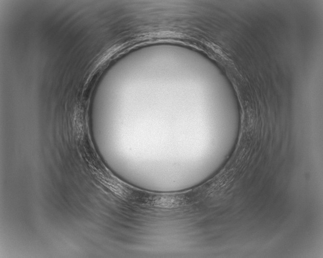 X0000052991266200507221211