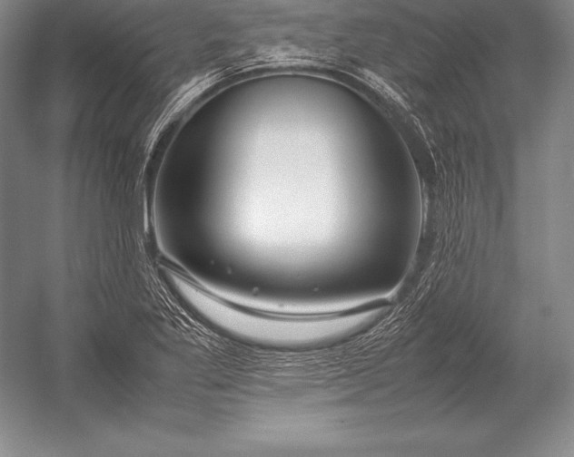 X0000052991269200507221211