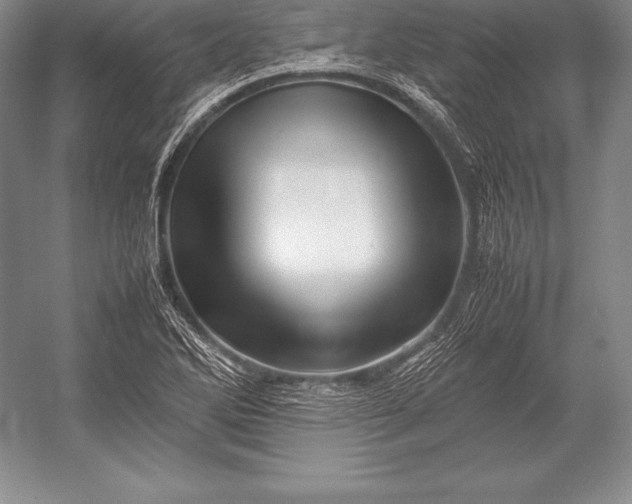 X0000052991270200507221211