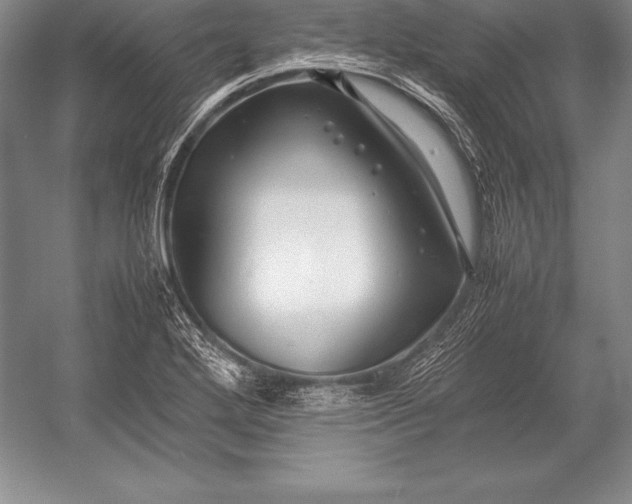 X0000052991272200507221211