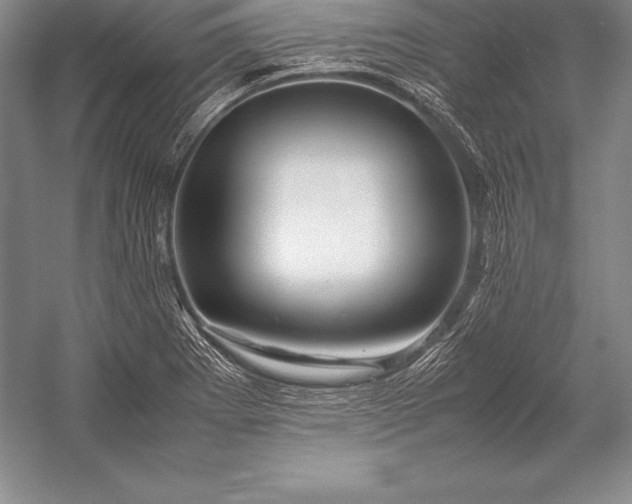 X0000052991273200507221211