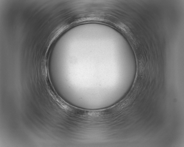 X0000052991274200507221211