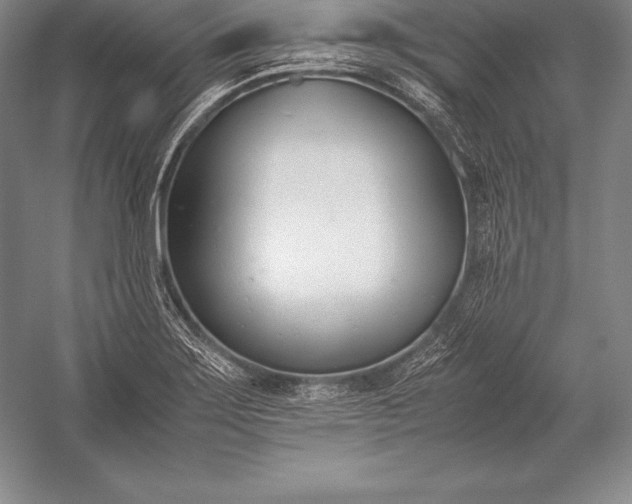 X0000052991275200507221211