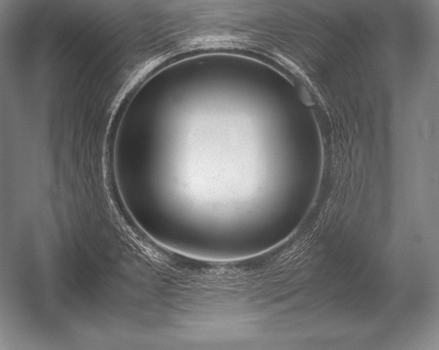 X0000052991277200507221211