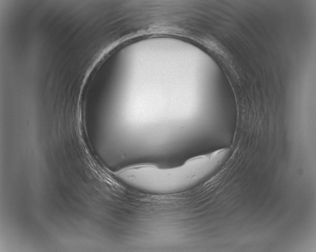 X0000052991280200507221211