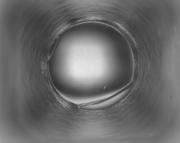 X0000052991281200507221211