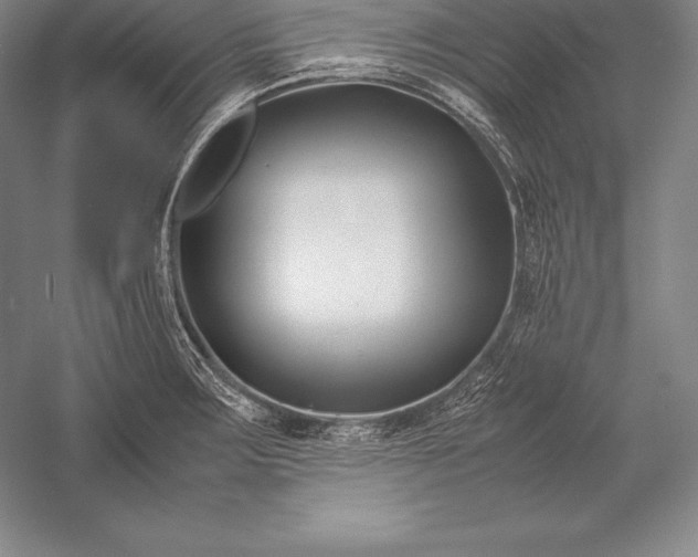 X0000052991283200507221211