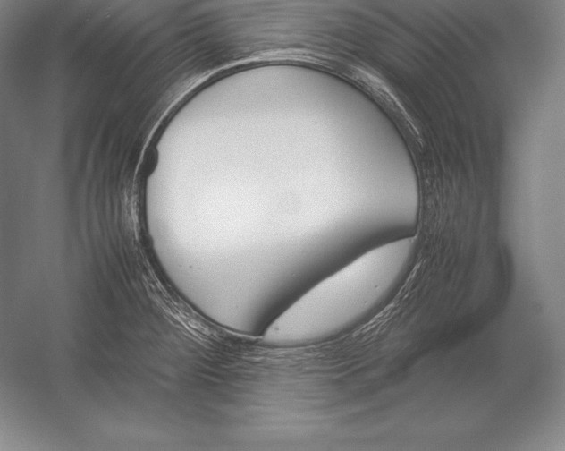 X0000052991284200507221211
