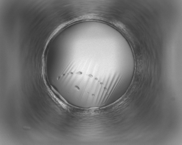 X0000052991286200507221211