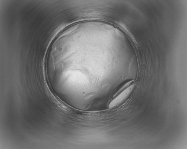 X0000052991291200507221211