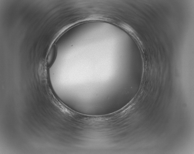 X0000052991292200507221211