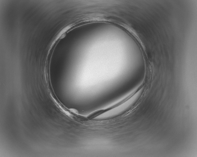 X0000052991293200507221211