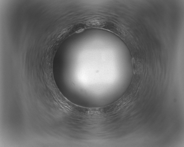 X0000052991297200507221210