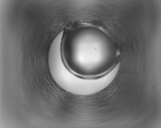 X0000052991298200507221210