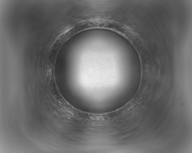 X0000052991302200507221210