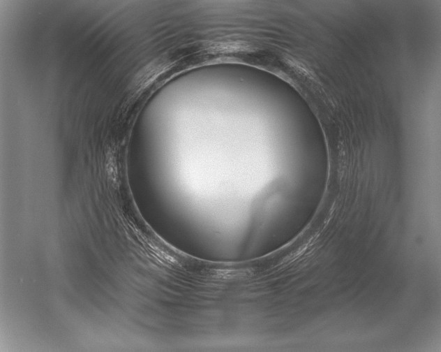 X0000052991305200507221210